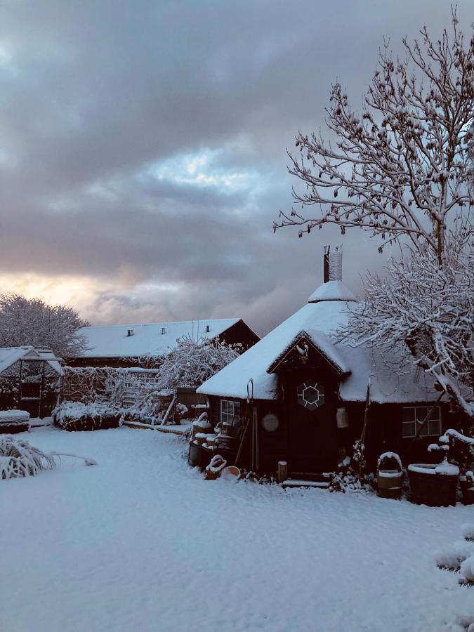 Appartamento Det Blagronne Hus Hals Esterno foto
